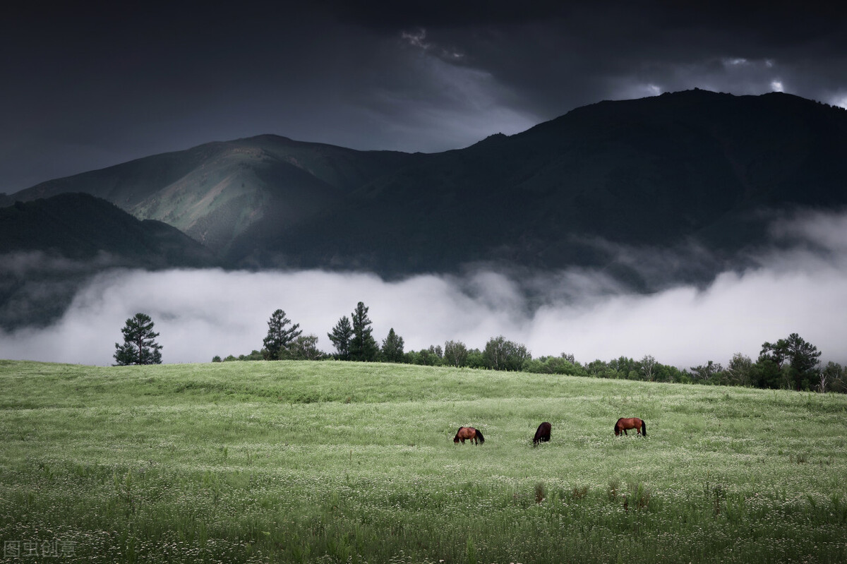黑骏马组合歌曲辽阔的草原,黑骏马民歌