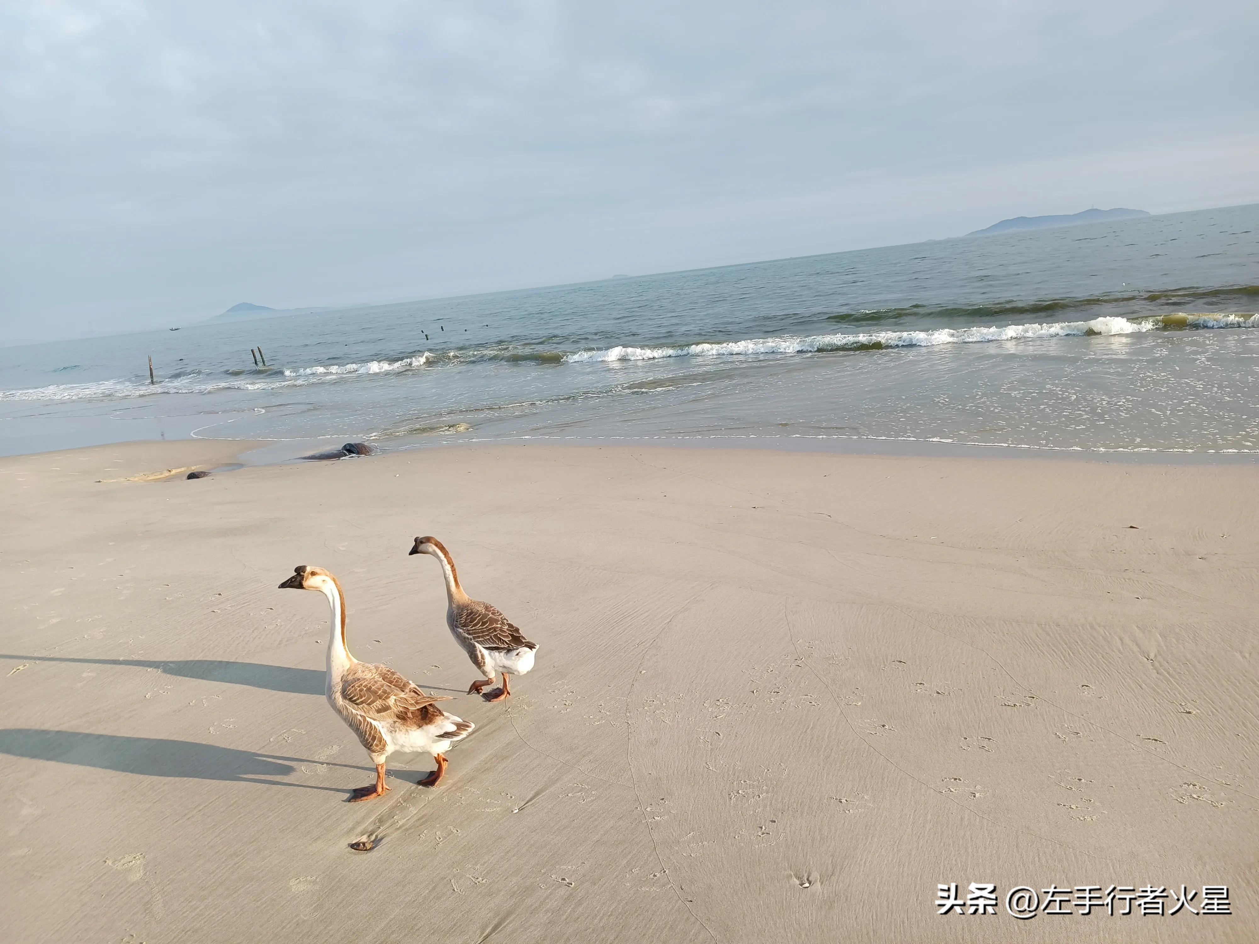 茂名浪漫海岸：落日海景美哉美哉