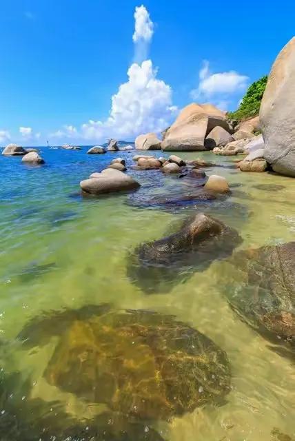 长期独处的人会有三个习惯,一个人习惯独处才是人生最高境界