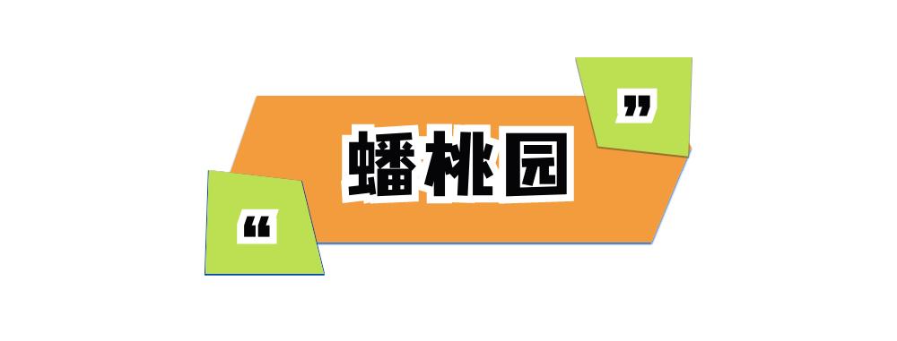 摘蓝莓桃子,摘蓝莓草莓樱桃桃子