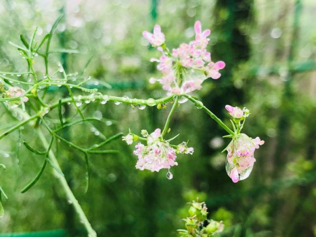 北碚三圣龙王村,重庆北碚山水龙王村