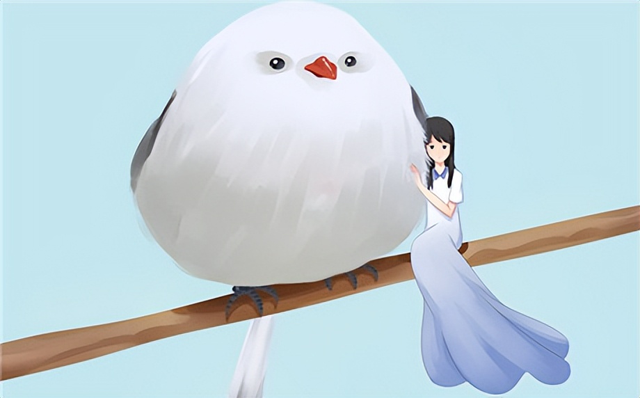 微信把妹聊天技巧攻略,网上搭讪撩妹攻略