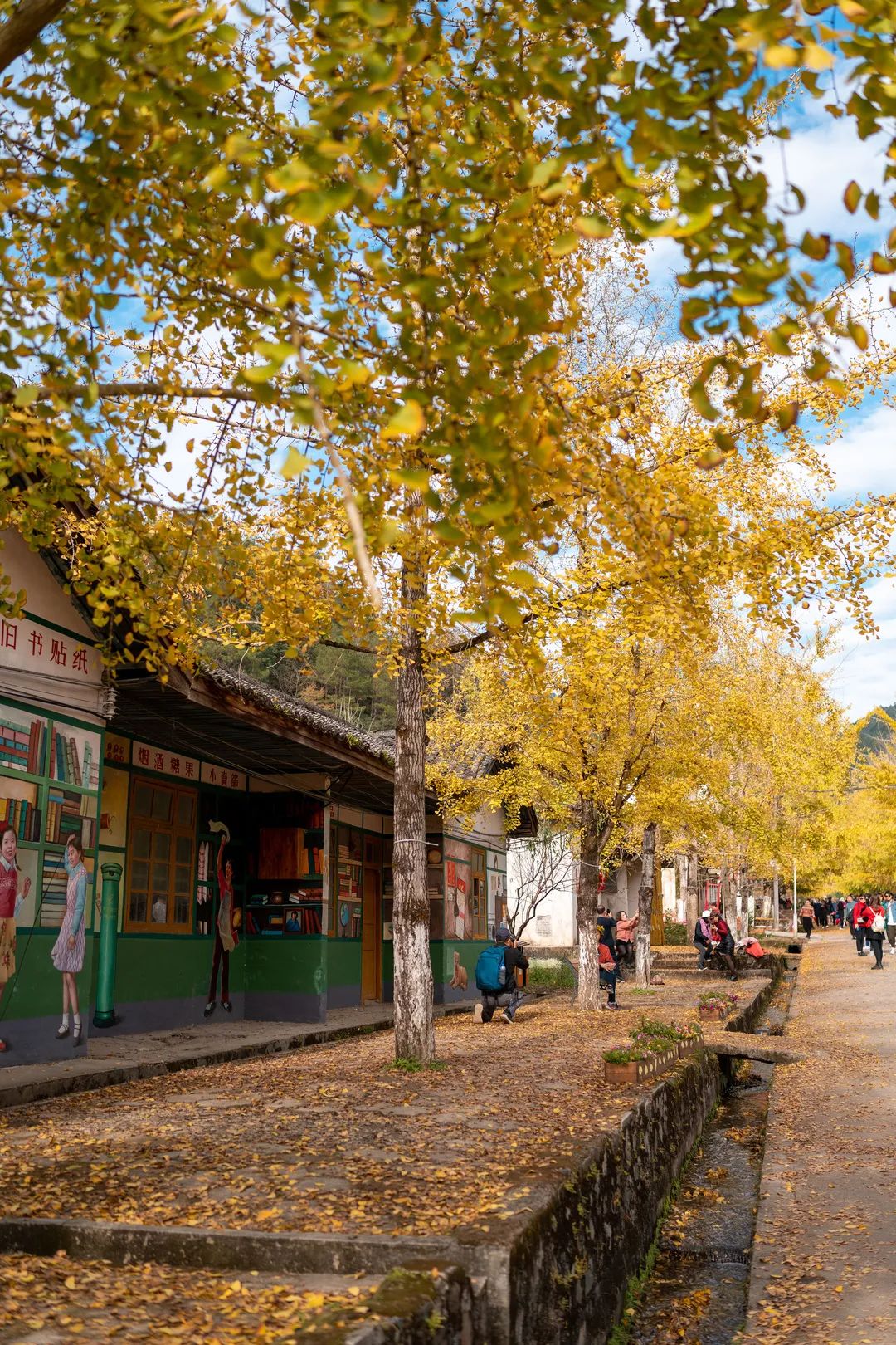 letsgo一周目攻略,letsgo图鉴攻略