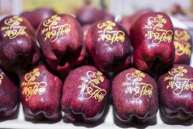 物流不畅通,物流有问题不处理怎么办