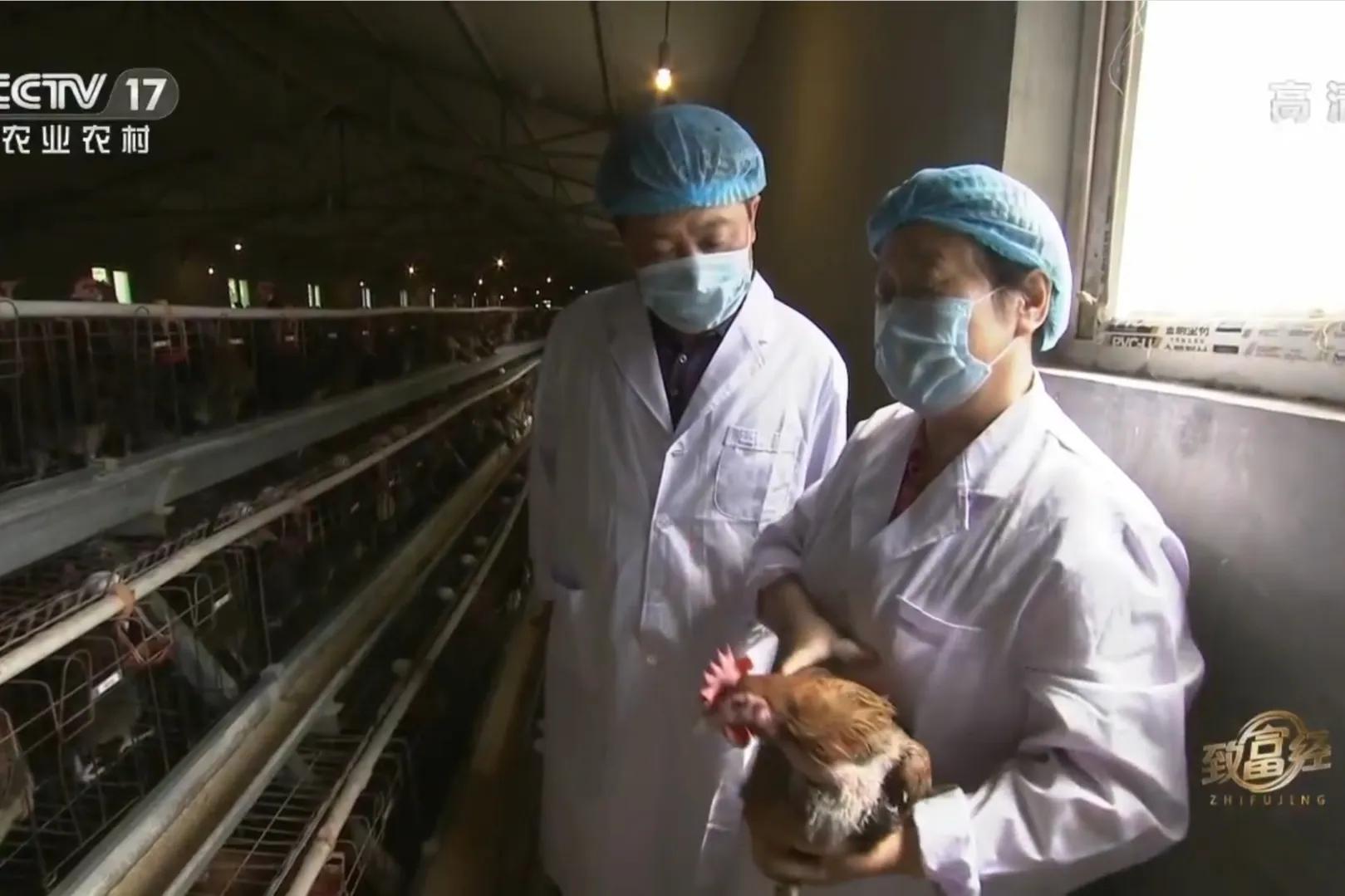 200亩荒山变成聚宝盆,荒山摇身一变成村民聚宝盆