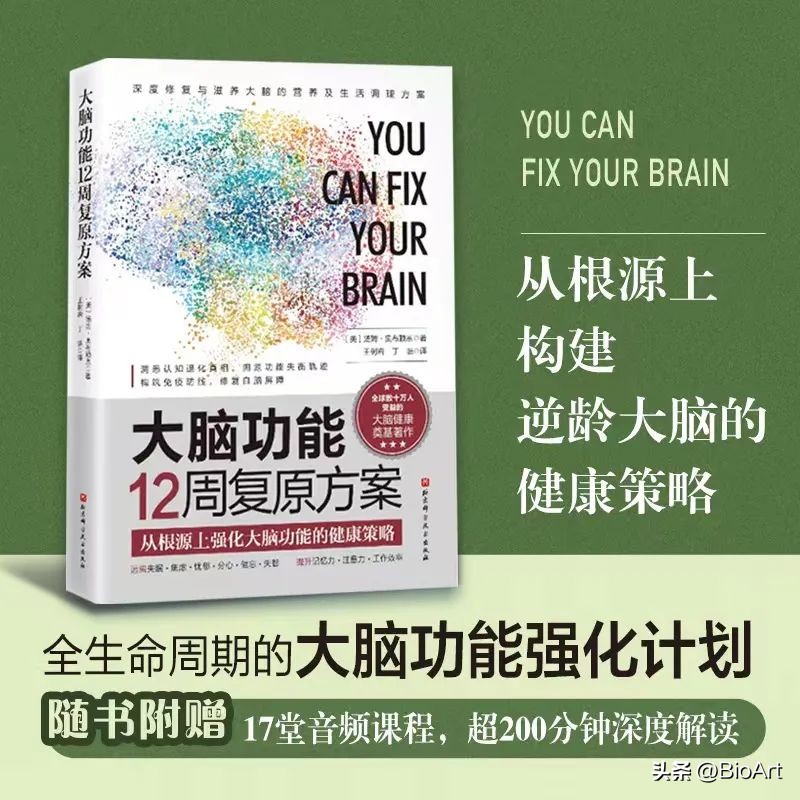 脑漏的真正原因,肠漏症和脑漏症