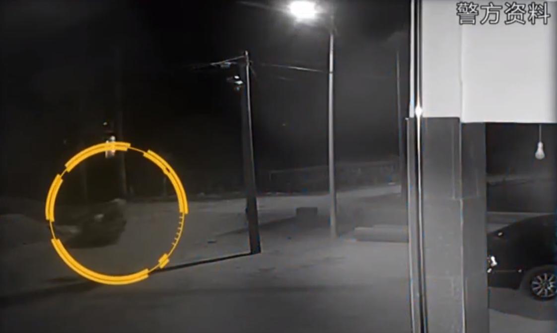 多名少女被抛尸荒野真实事件,19岁少女被抛尸荒野