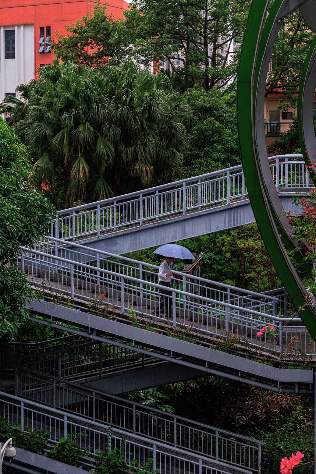 深二代家里6套房,深二代从大房子住到小房子