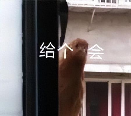 防卡顿手机加速器,变身加速器