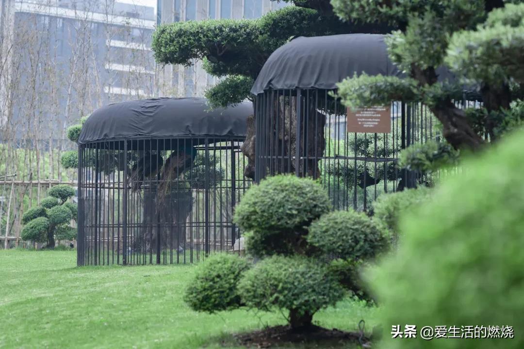 上海阿纳迪酒店特色和作用,上海阿纳迪酒店评价