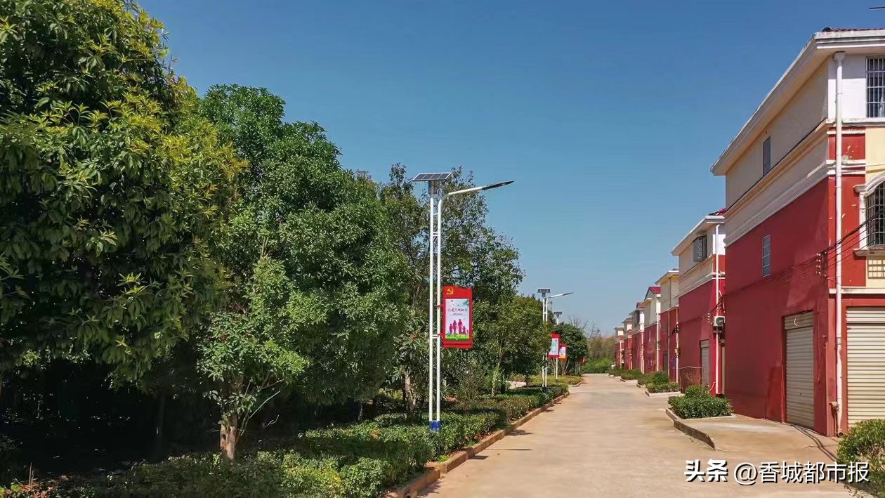 党建引领村湾治理,党建引领乡村治理示范镇