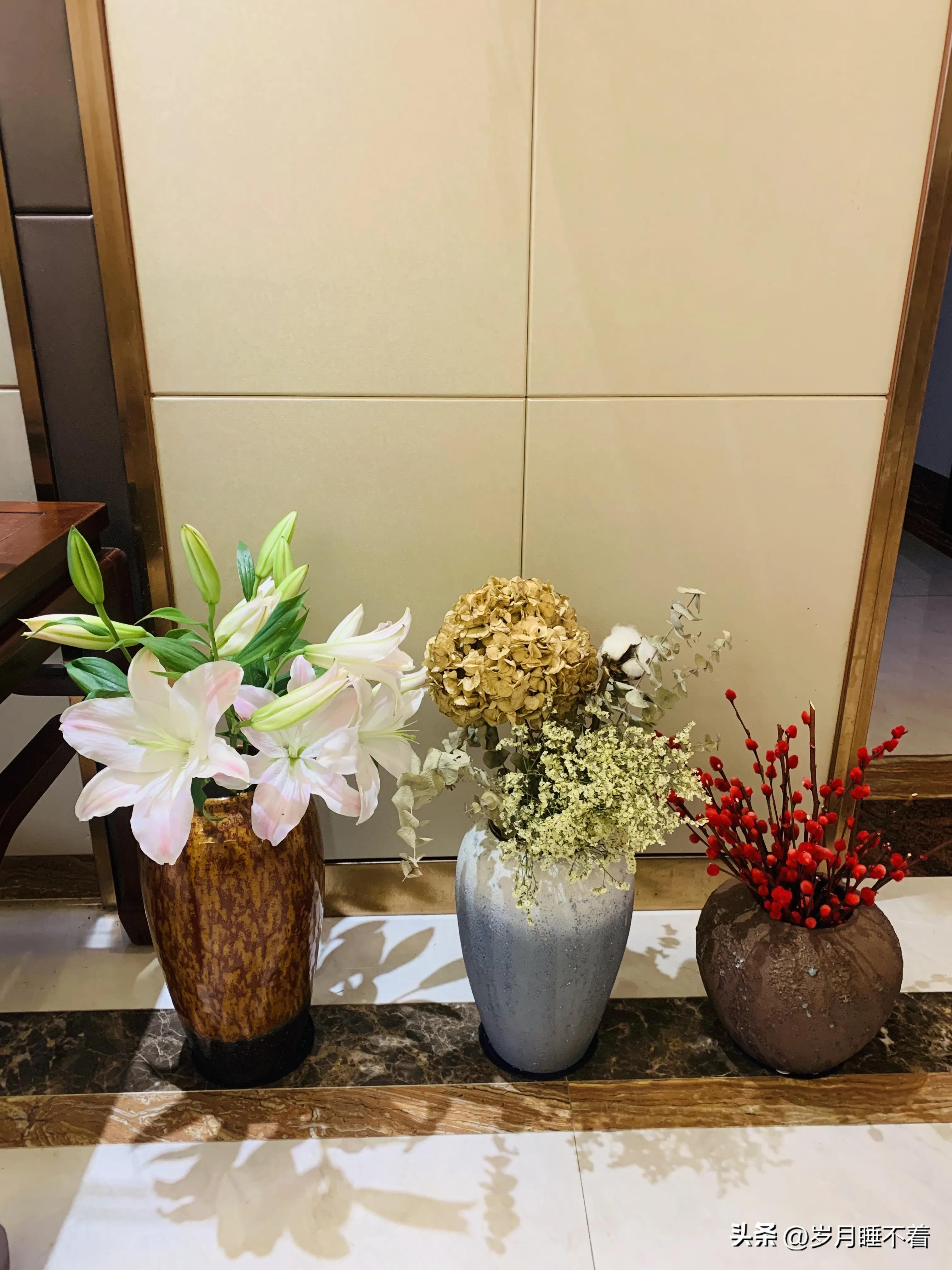 瞬间提升室内高级感的5种绿植,森系装修风格怎么在效果上展现