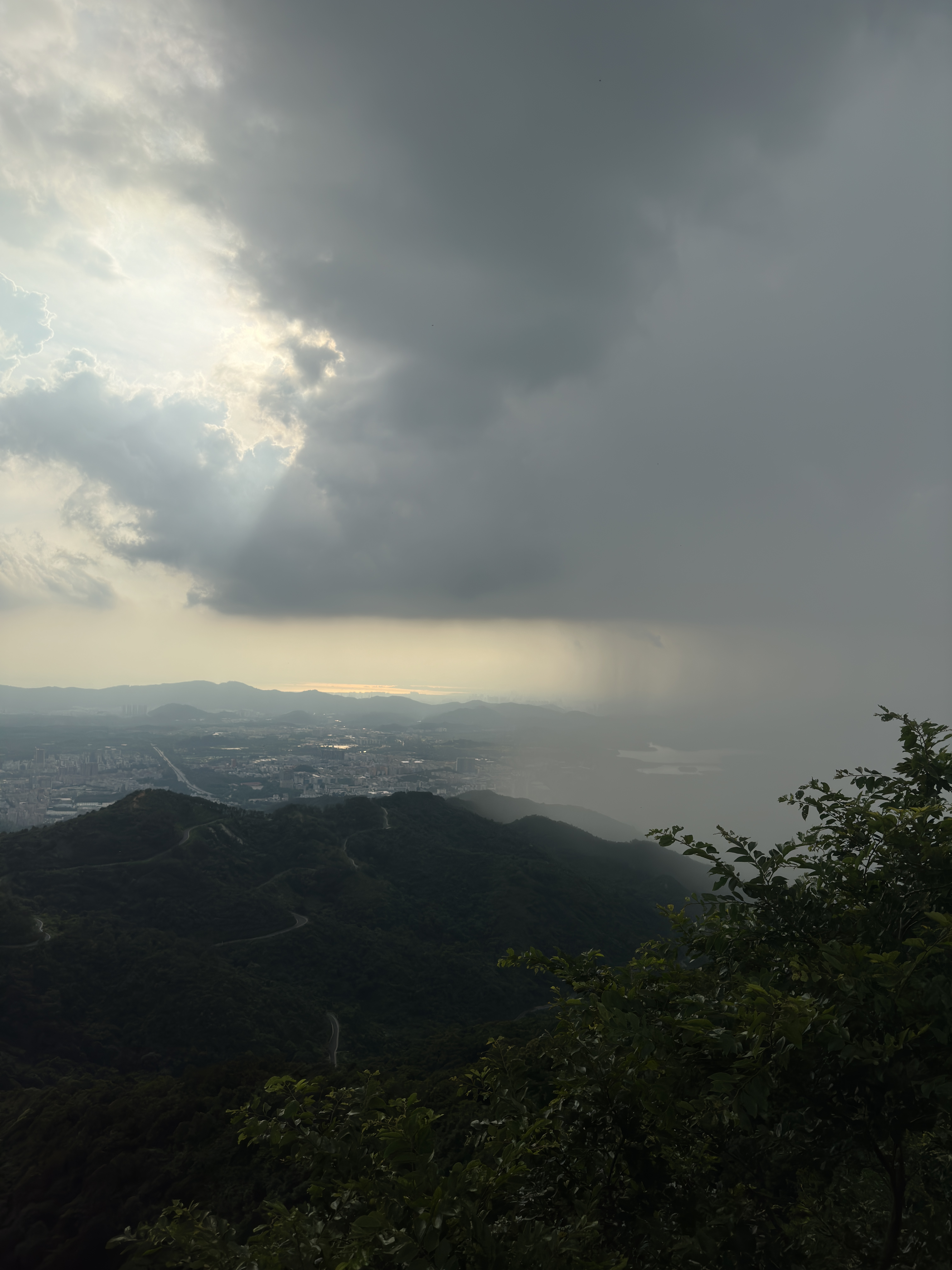 深圳羊台山夜晚的风景,深圳羊台山游玩攻略