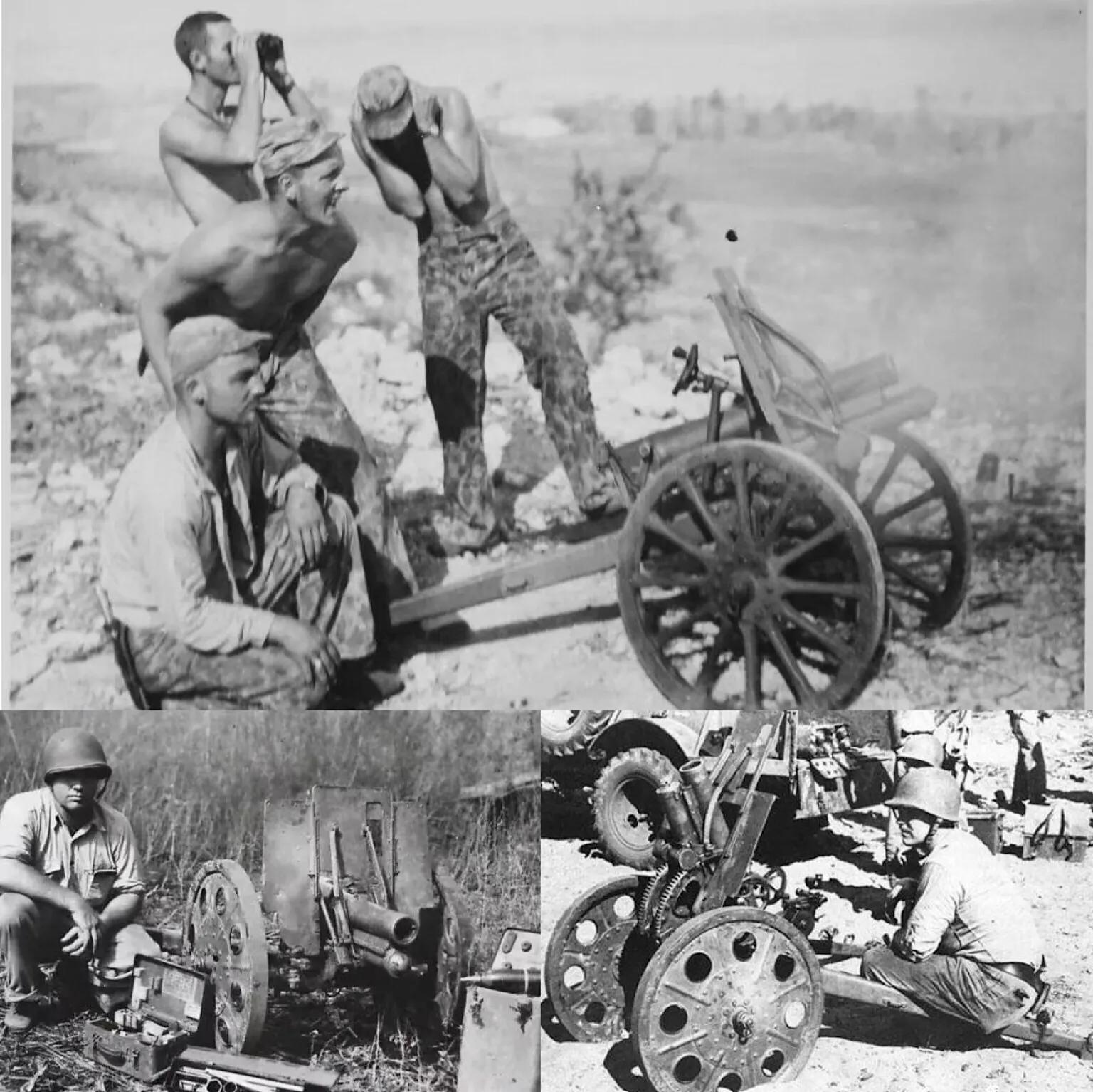 能屈能伸是成语吗,能曲能伸百折不挠的意志