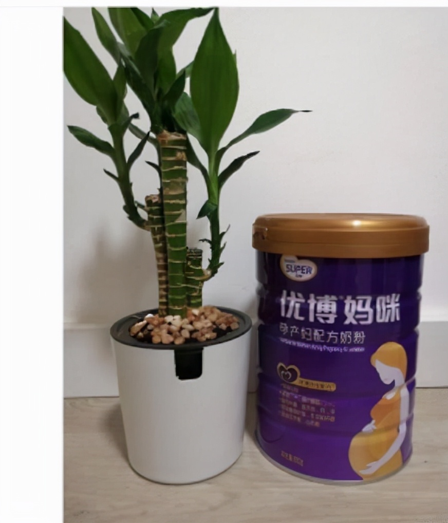 圣元奶粉官方网站,圣元膳佳儿童配方奶粉