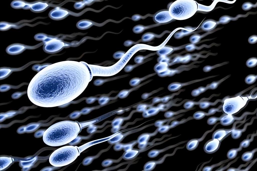 备孕很久却迟迟怀不上,备孕很久却一直怀不上