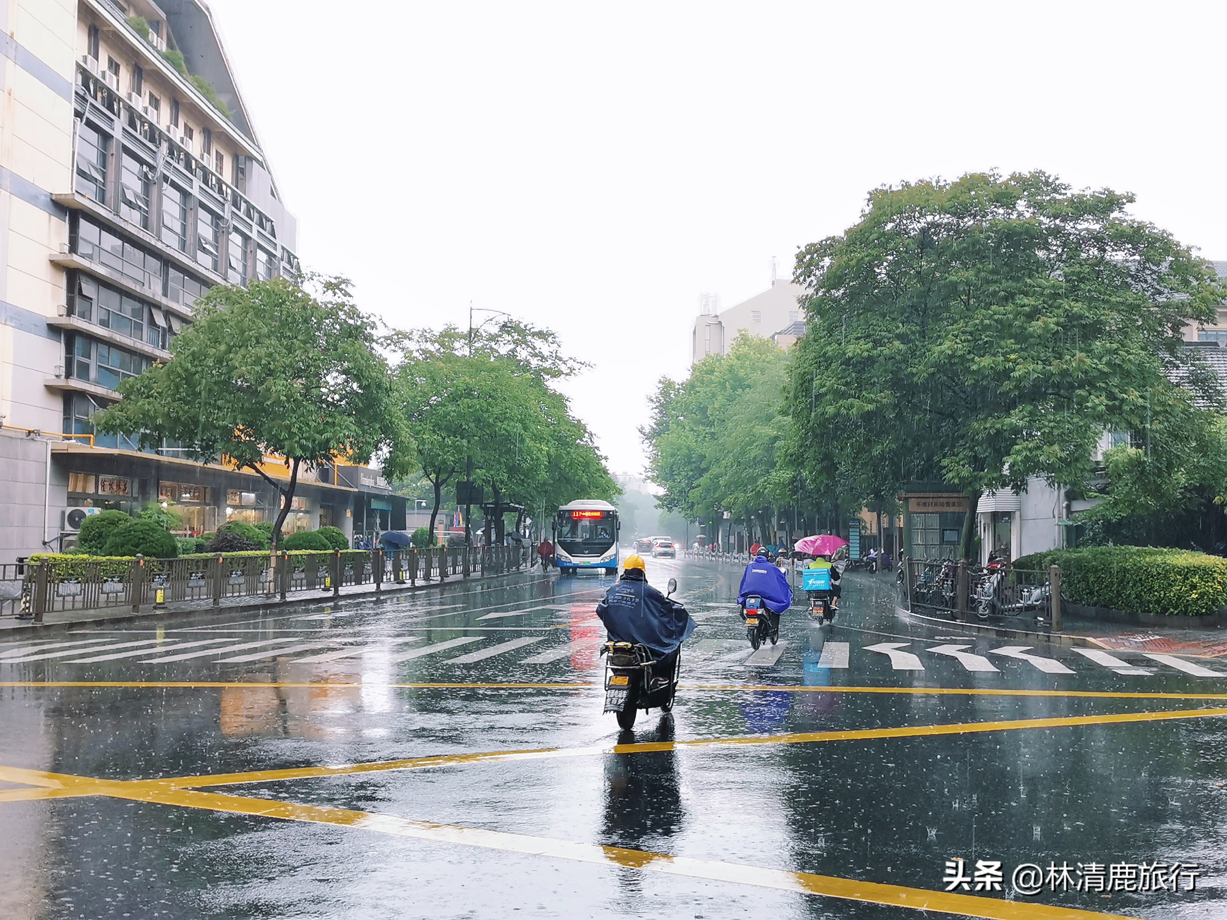 国内夏天避暑最凉快的5个地方,中国适合避暑的六大城市