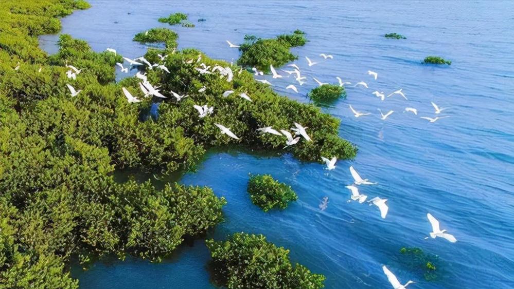 柬埔寨签订百亿订单,中国柬埔寨百亿项目