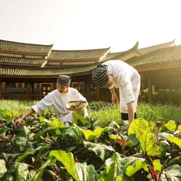 青城山六善酒店泳池别墅,青城山六善酒店推荐