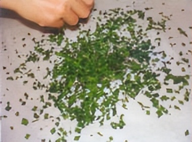 飞蚁防治小妙招,收获蚁怎样保产