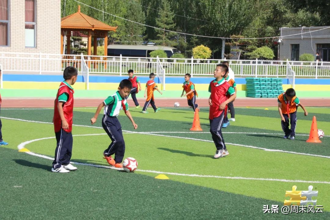 小学体育走班制教学,小学体育教学改革