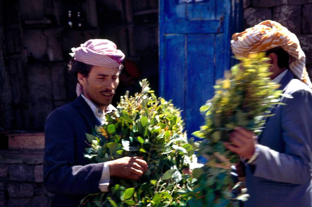 好好的一个国家，就这么被*品毒**榨干了