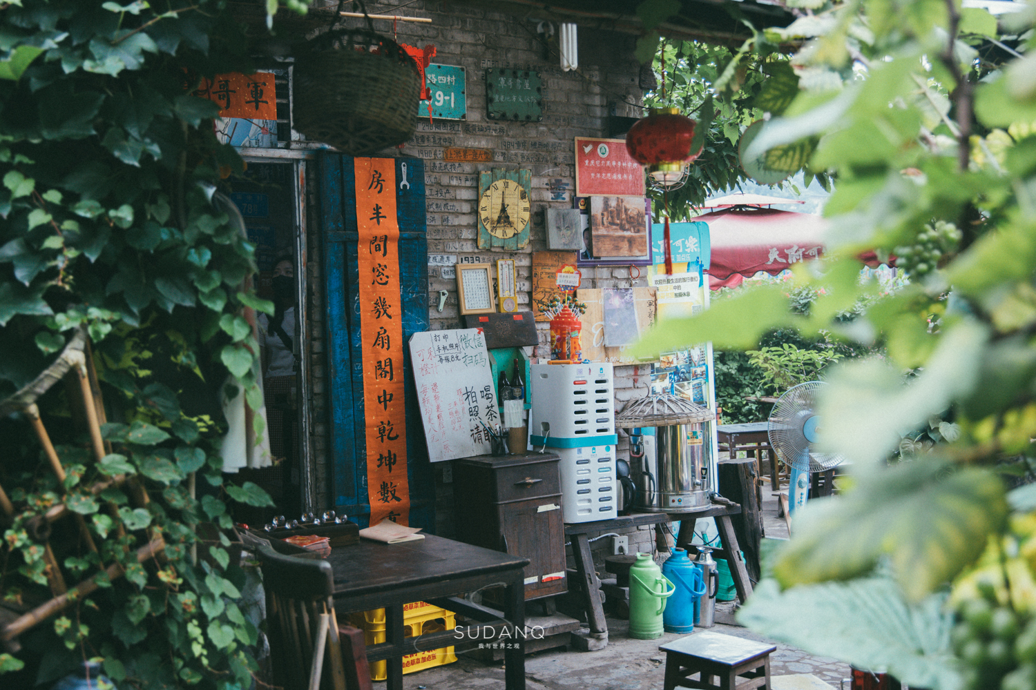 老重庆人的“网红生活”：画家资助老茶馆，大明星打卡旧书屋