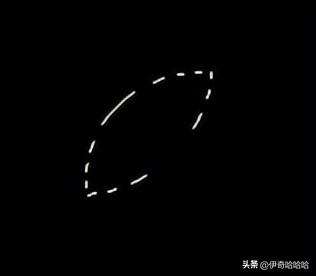 photoshop里面有几种选框工具,ps里矩形选框工具不随鼠标移动