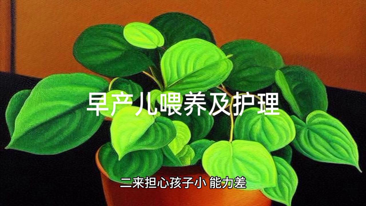 不足5斤的宝宝怎么喂养,37周胎儿体重不达标怎么办