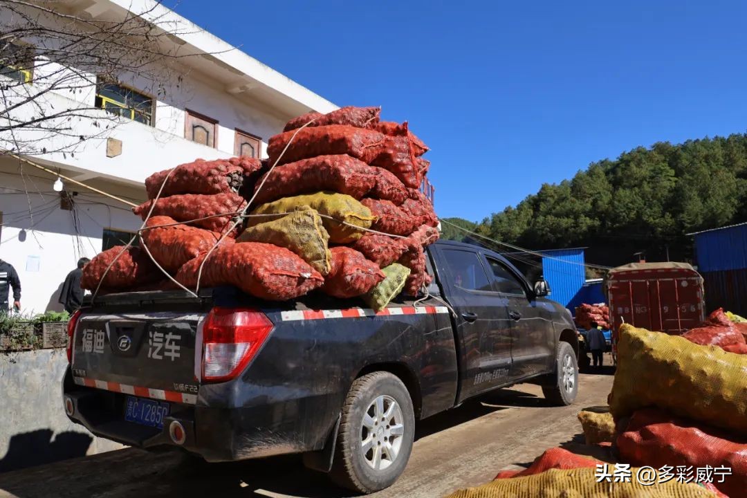 贵州威宁：哲觉小作坊变“大”工厂