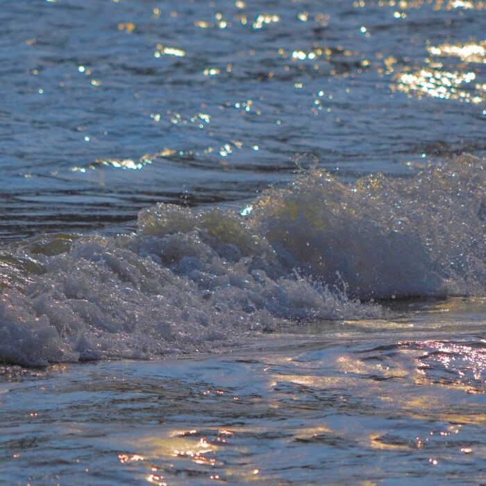 閲嶅悕鐜囧緢灏忕殑缃戝悕,涓嶆槗閲嶅悕闂鸿湝缃戝悕