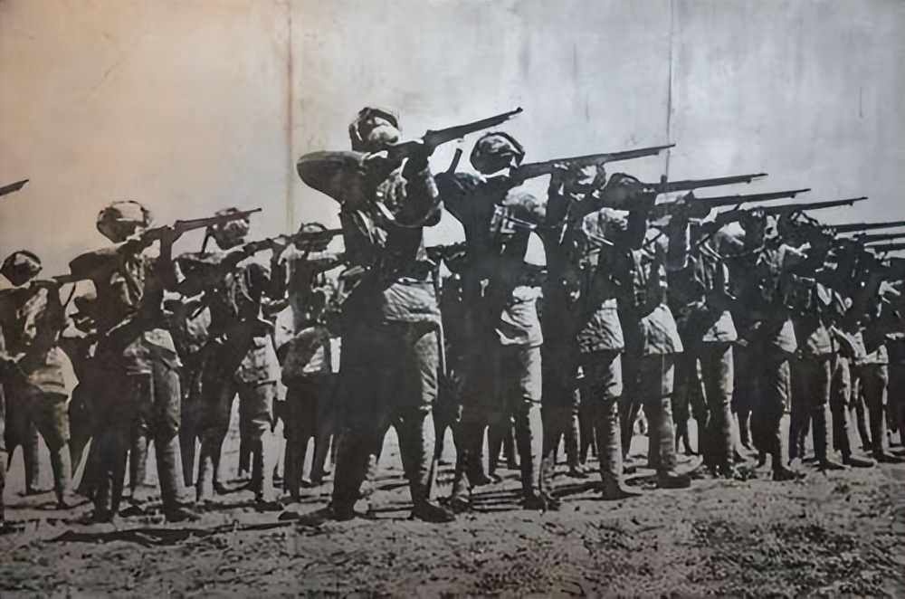 巅峰时期的奉军有多强大,奉军鼎盛时期军事实力