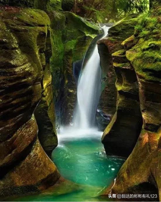 难得一见绝美一清二楚郁金香壁纸,难得一见雪景壁纸