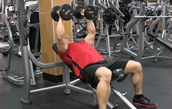 哑铃和杠铃哪个动作好,哑铃和杠铃应该怎样正确使用