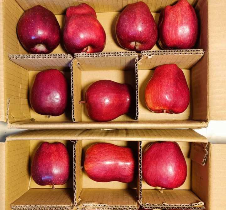 健康养生的零食都有哪些,健康养生零食大全