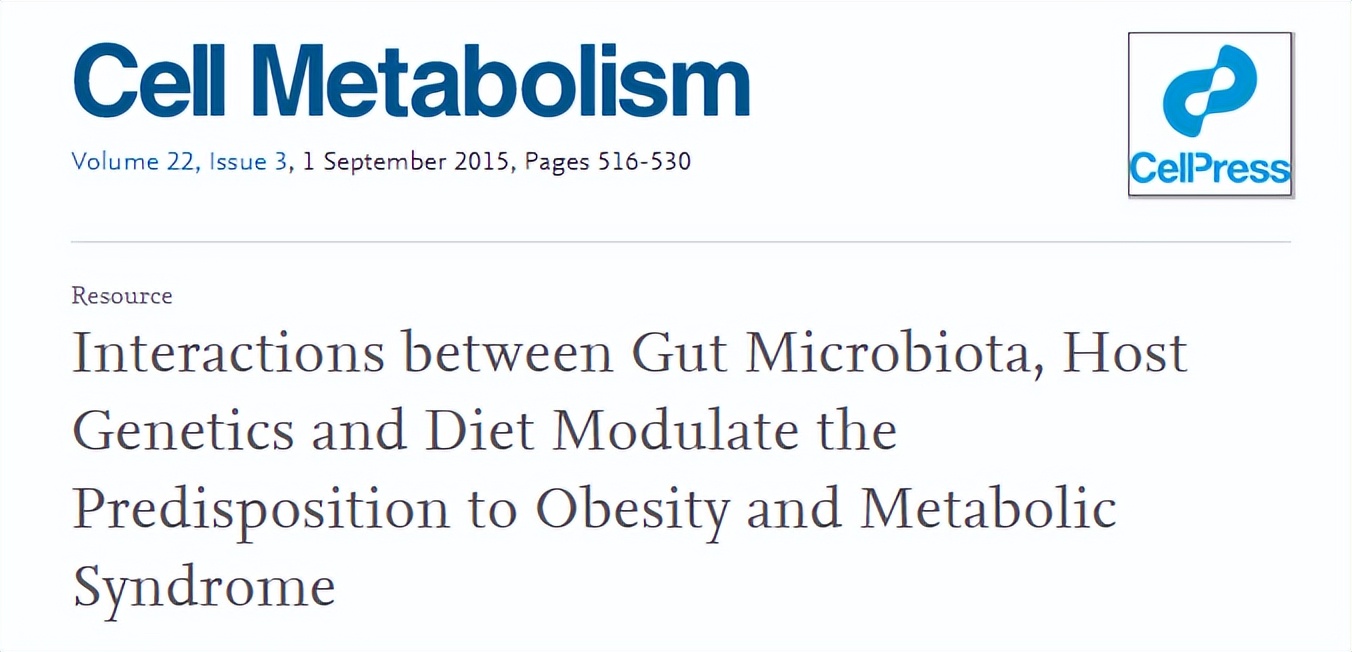 三招改变易胖体质,如何改变易胖体质轻松瘦下来