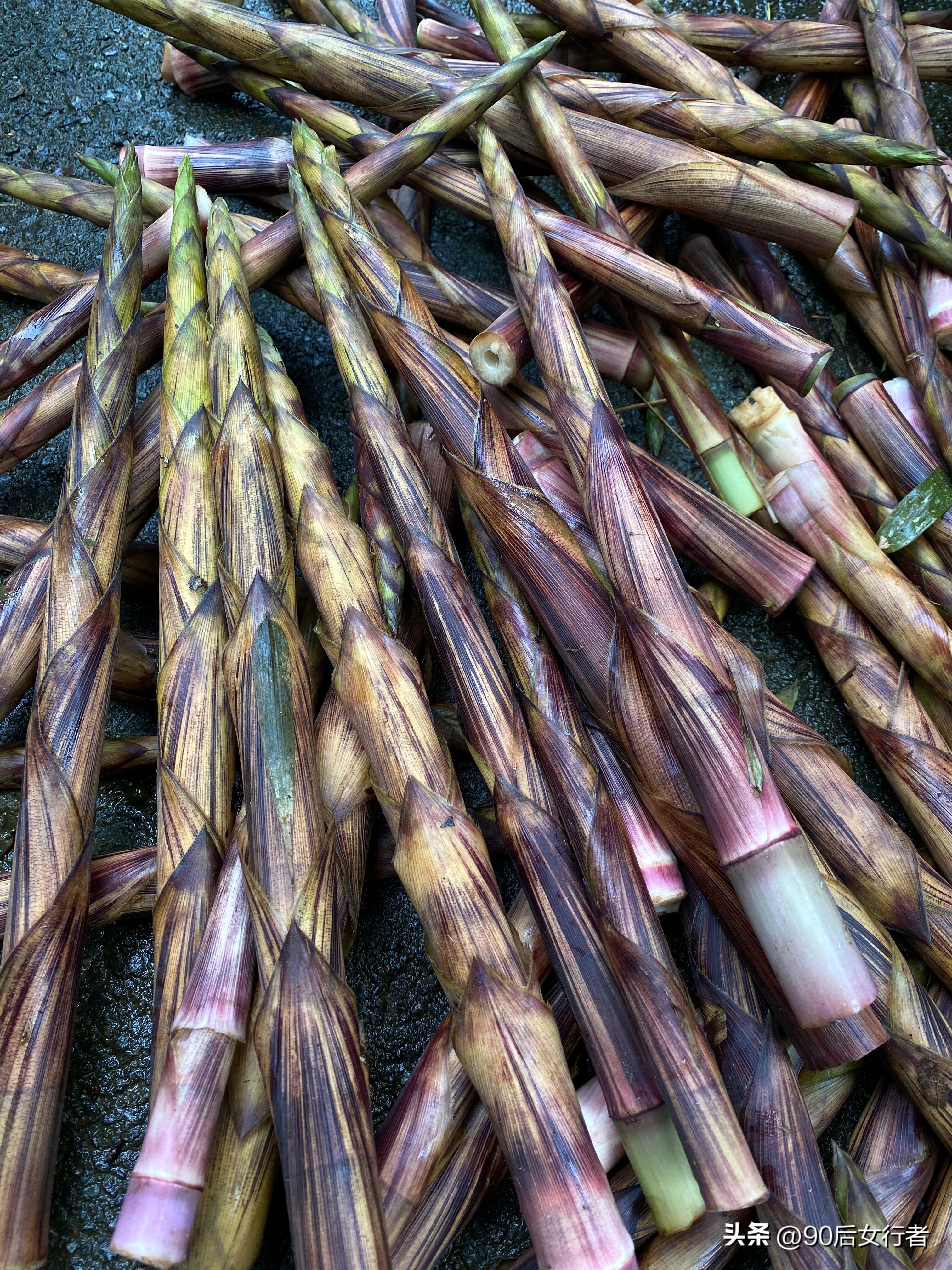 走进山间的小路感受大自然,成都深山老林旅游最好去处