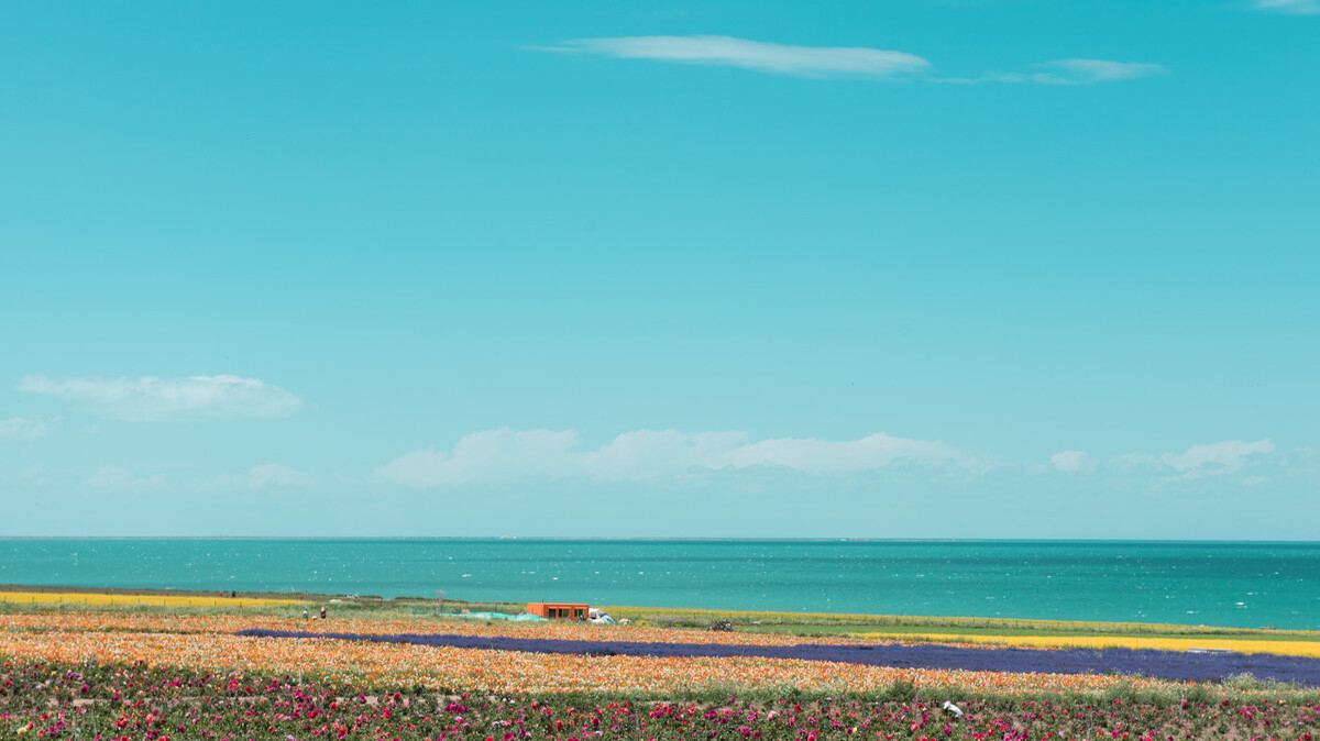 甘肃哪几个县划到青海了,甘肃青海有几个区