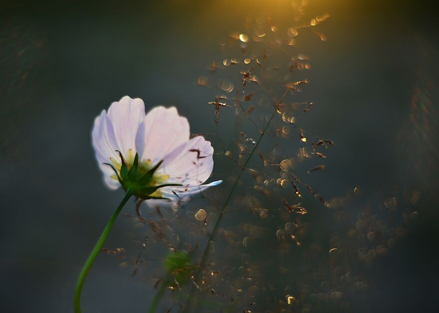 大自然的美景秋天摄影照片,美丽的大自然春夏秋冬图片大全