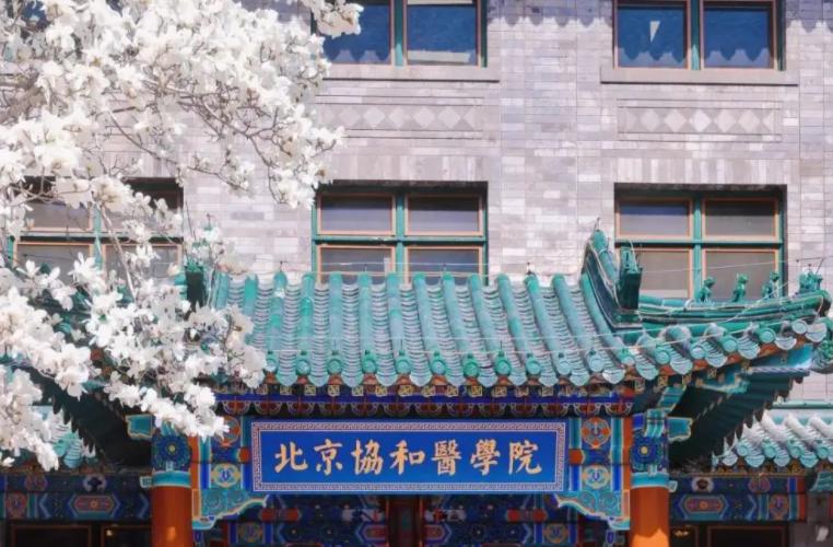 2022中国医科类大学排名更新，北中医不负众望，天津医大排在第七