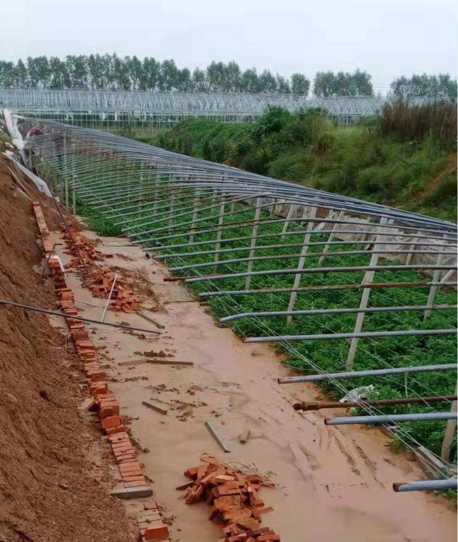 菜农伯伯与农业对话,蔬菜与大棚对话