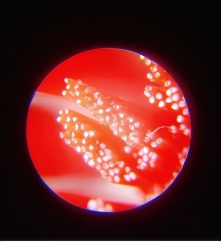 飞利浦和欧乐电动牙刷哪个质量好,欧乐bio9和usmile电动牙刷哪个好