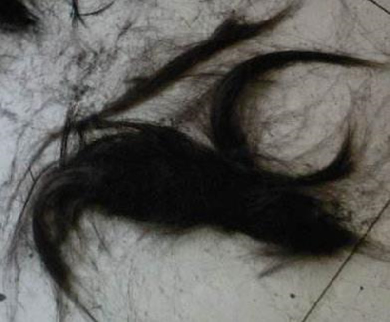 走近科学揭秘鬼剃头,揭秘鬼剃头