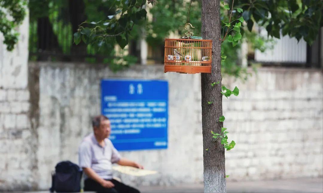 济南值得推荐的休闲好去处,济南必逛风景点