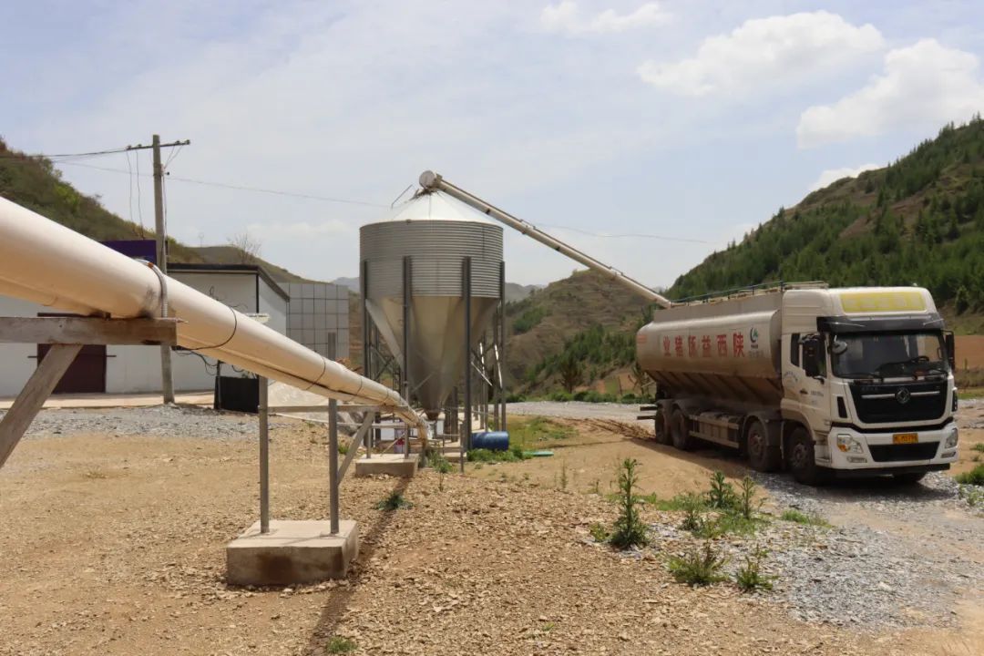 生猪快速致富养殖技术,土猪养殖致富经