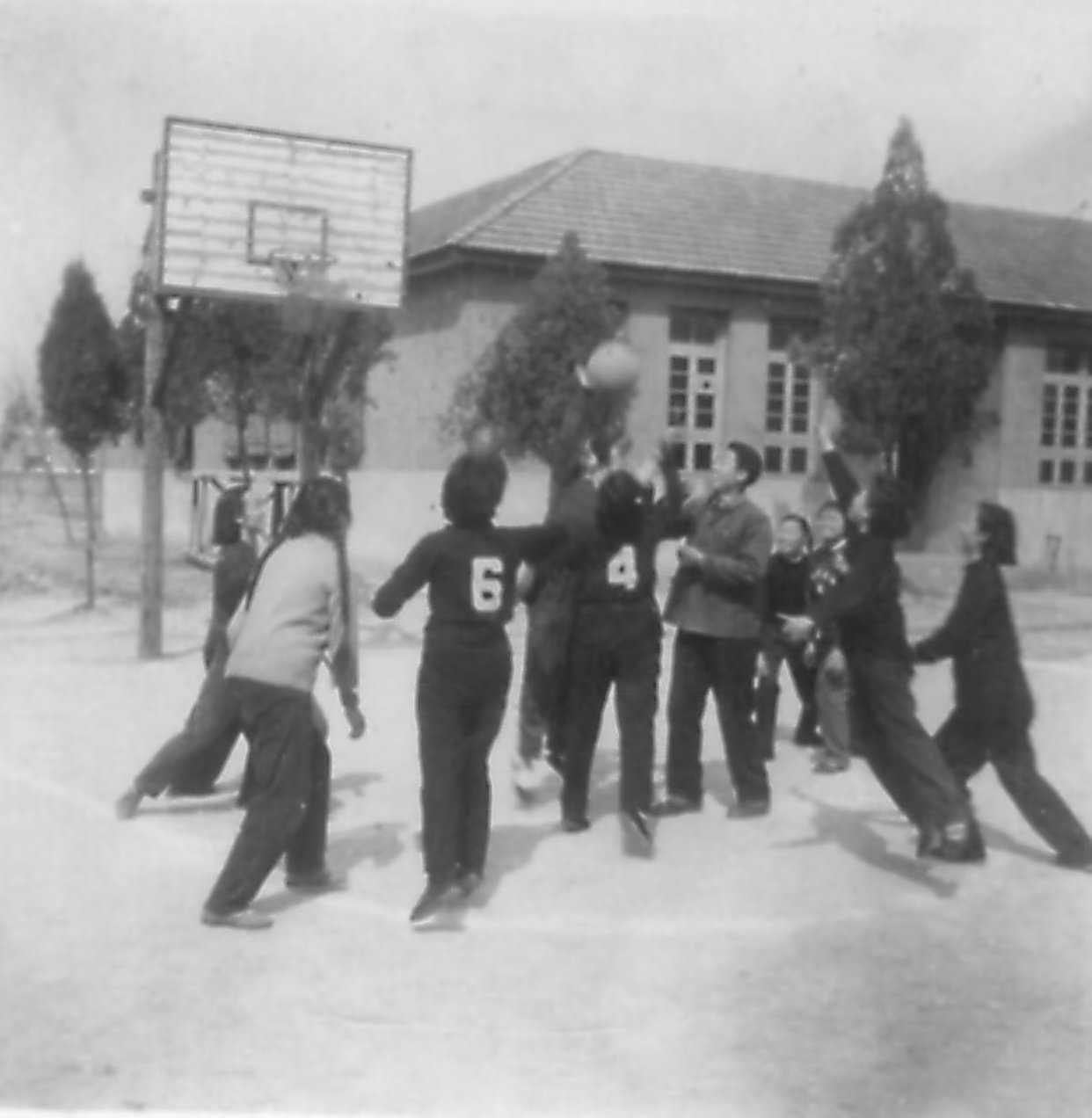 故园杂记——纪念蚌埠三中百年校庆有感（8）