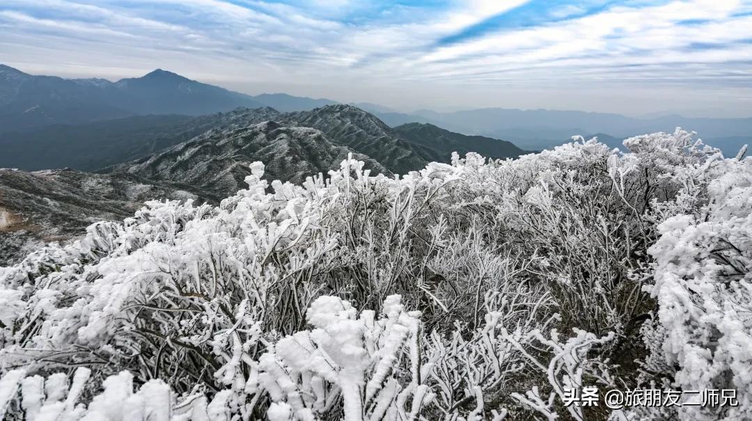 清远金子山旅游攻略看雾凇,广东金子山雪景旅游攻略