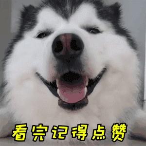 狗狗老舔尿道是什么原因,狗狗舔别的狗尿是什么原因