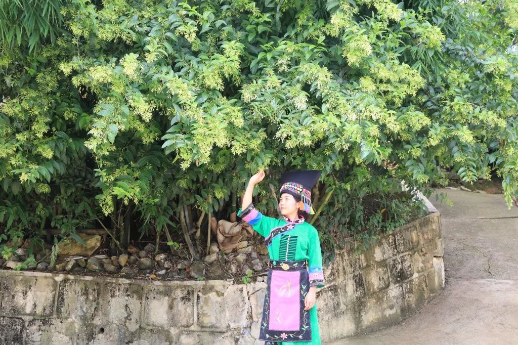 保山施甸布朗族服饰走向法国,保山施甸布朗族服饰图案介绍