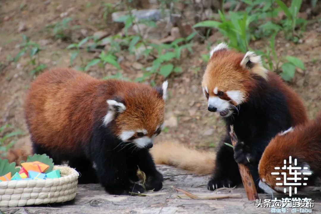 七天假期上哪玩儿,假期去哪儿玩这份攻略告诉你